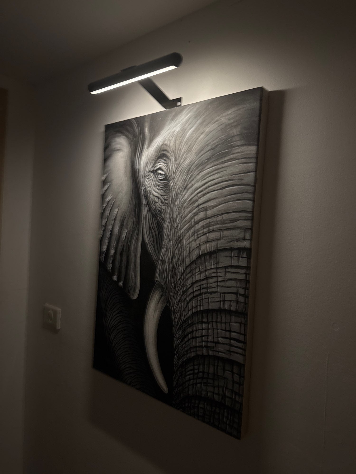 Draadloze Oplaadbare LED Schilderijverlichting met Afstandsbediening – Verstelbare, Dimbare Verlichting voor Kunst en Decoratie-DeWoonVallei-DeWoonVallei