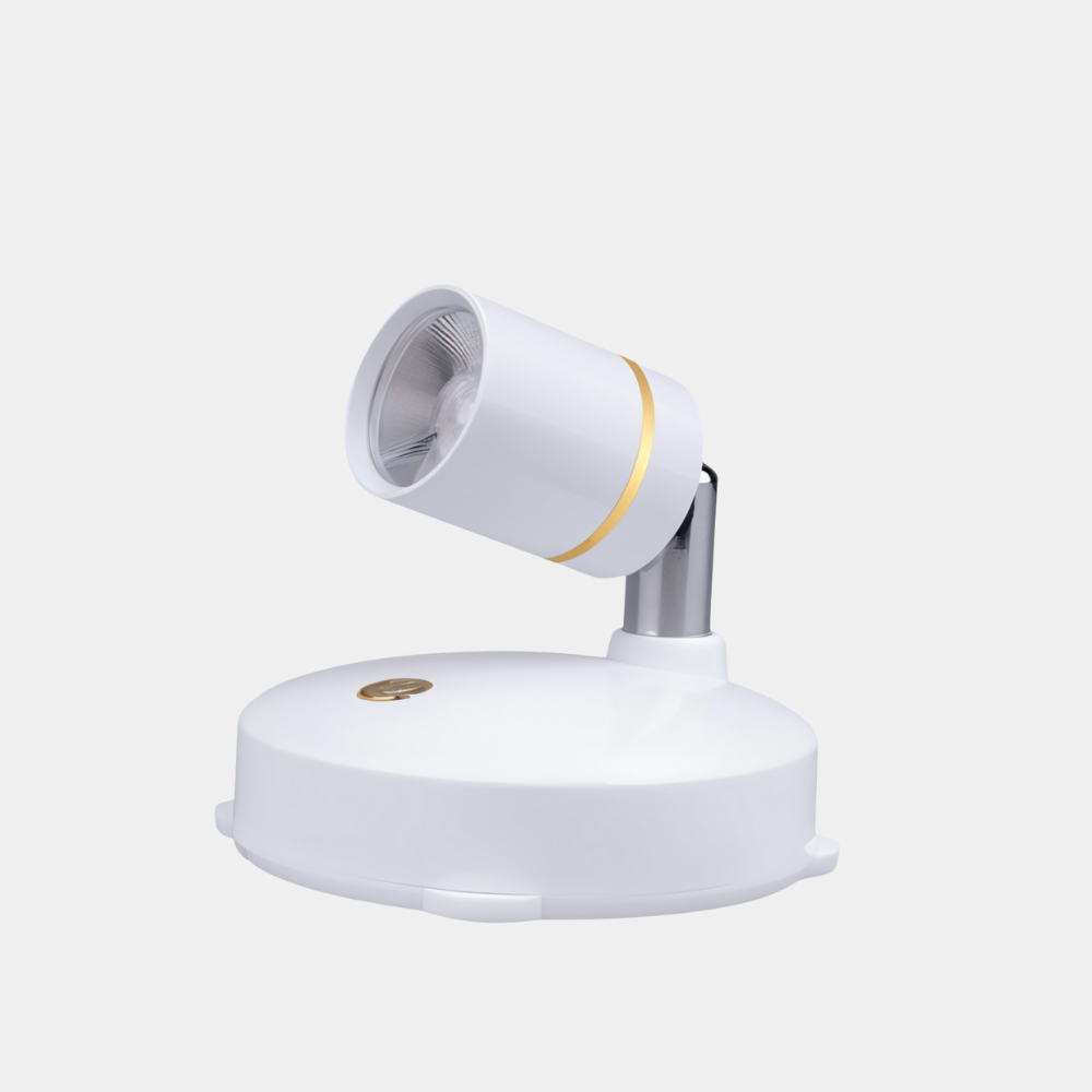 Dimbare LED Spotlamp met Afstandsbediening – Draadloze Accentverlichting voor Kunst & Interieur-Lighting-DeWoonVallei-Wit-Alleen naturel wit-1 Stuk-DeWoonVallei