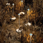 Draadloze LED Tafellamp – Elegante, Dimbare & Waterbestendige Verlichting-DeWoonVallei-DeWoonVallei