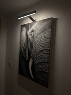 Draadloze Oplaadbare LED Schilderijverlichting met Afstandsbediening – Verstelbare, Dimbare Verlichting voor Kunst en Decoratie-DeWoonVallei-DeWoonVallei