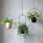 Halo Hangende Metalen Plantenhouder – Modern Gouden Design voor Binnen & Buiten-Hanging Planters-DeWoonVallei-DeWoonVallei