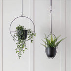 Halo Hangende Metalen Plantenhouder – Modern Gouden Design voor Binnen & Buiten-Hanging Planters-DeWoonVallei-DeWoonVallei