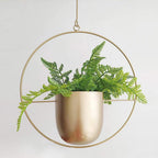 Halo Hangende Metalen Plantenhouder – Modern Gouden Design voor Binnen & Buiten-Hanging Planters-DeWoonVallei-Goud-Rond-DeWoonVallei