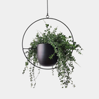 Halo Hangende Metalen Plantenhouder – Modern Gouden Design voor Binnen & Buiten-Hanging Planters-DeWoonVallei-Zwart-Rond-DeWoonVallei
