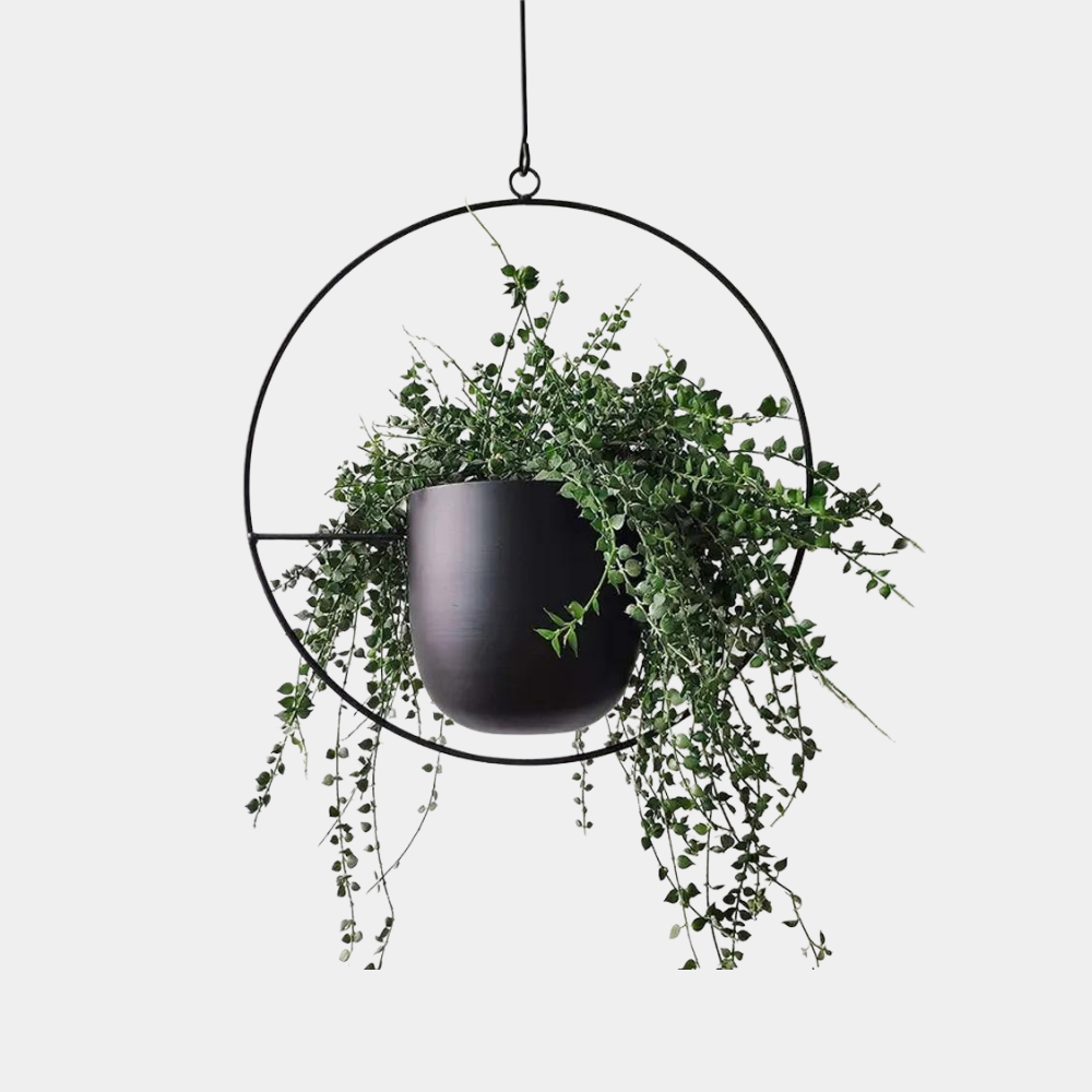 Halo Hangende Metalen Plantenhouder – Modern Gouden Design voor Binnen & Buiten-Hanging Planters-DeWoonVallei-Zwart-Rond-DeWoonVallei