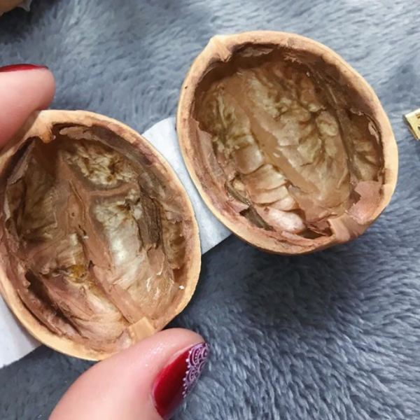 Handgemaakt Mini Notendop Poppenhuis Met Betoverende Miniatuurkamers Voor Decoratie-Decor-DeWoonVallei-DeWoonVallei