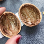 Handgemaakt Mini Notendop Poppenhuis Met Betoverende Miniatuurkamers Voor Decoratie-Decor-DeWoonVallei-DeWoonVallei