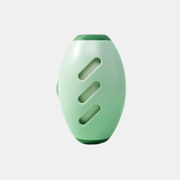 Herbruikbare Lintroller Compact Gemakkelijk Schoon Te Maken voor Haar en Pluis-Laundry Supplies-DeWoonVallei-Groen-DeWoonVallei