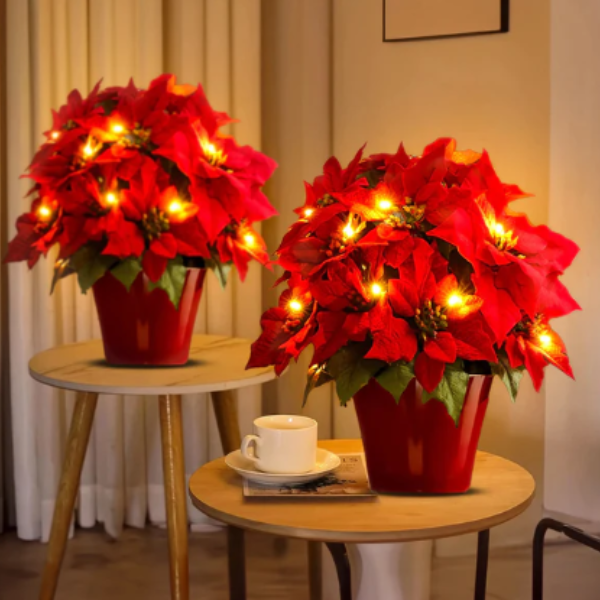 Karmijnrode Feestpoinsettia Decoratieve Lamp Elegante Warme Gloed voor Feestelijke Decoratie-home decor-DeWoonVallei-DeWoonVallei
