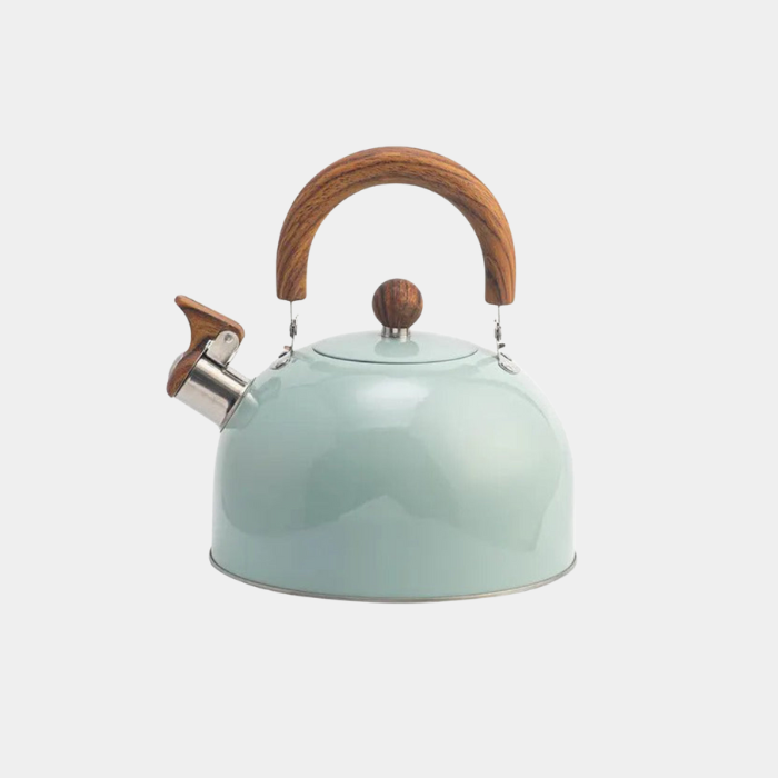 Luxe RVS Fluitketel met Tijdloos Design – Snelle Verwarming & Stil Fluitsignaal-Home & Living-DeWoonVallei-Lichtgroen 3L-DeWoonVallei