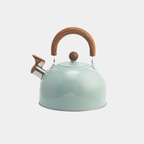 Luxe RVS Fluitketel met Tijdloos Design – Snelle Verwarming & Stil Fluitsignaal-Home & Living-DeWoonVallei-Lichtgroen 3L-DeWoonVallei