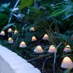 Magische Zonne Paddenstoelen Tuinlampen Speelse Buitenverlichting-Lighting-DeWoonVallei-DeWoonVallei