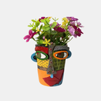 Moderne Abstracte Gezichtsplanter Artistiek Ontwerp voor Stijlvolle Planten-Pots-DeWoonVallei-DeWoonVallei