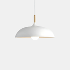 Moderne Macaron Plafond Hanglamp met Verstelbare Hoogte en Elegant Koepelontwerp-Pendant Light-DeWoonVallei-DeWoonVallei