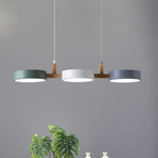 Moderne Metalen Plafondlamp met Scandinavisch Design en Zachte Sfeerverlichting-Pendant light-DeWoonVallei-DeWoonVallei