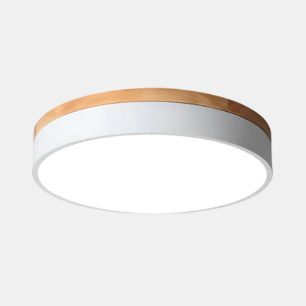 Moderne dimbare LED plafondlamp met afstandsbediening voor slaapkamer en woonkamer-Ceiling Lamp-DeWoonVallei-DeWoonVallei