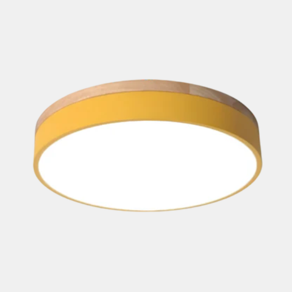 Moderne dimbare LED plafondlamp met afstandsbediening voor slaapkamer en woonkamer-Ceiling Lamp-DeWoonVallei-DeWoonVallei