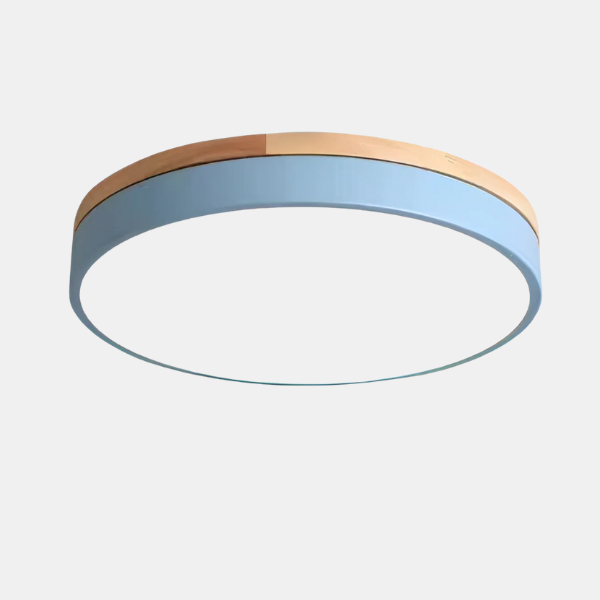 Moderne dimbare LED plafondlamp met afstandsbediening voor slaapkamer en woonkamer-Ceiling Lamp-DeWoonVallei-DeWoonVallei