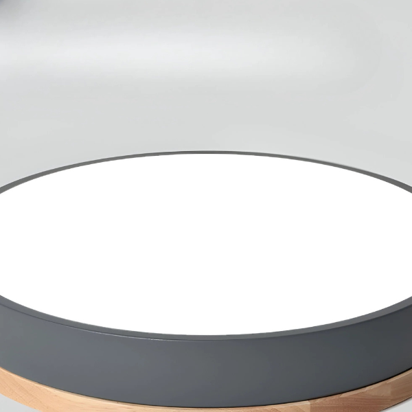 Moderne dimbare LED plafondlamp met afstandsbediening voor slaapkamer en woonkamer-Ceiling Lamp-DeWoonVallei-DeWoonVallei
