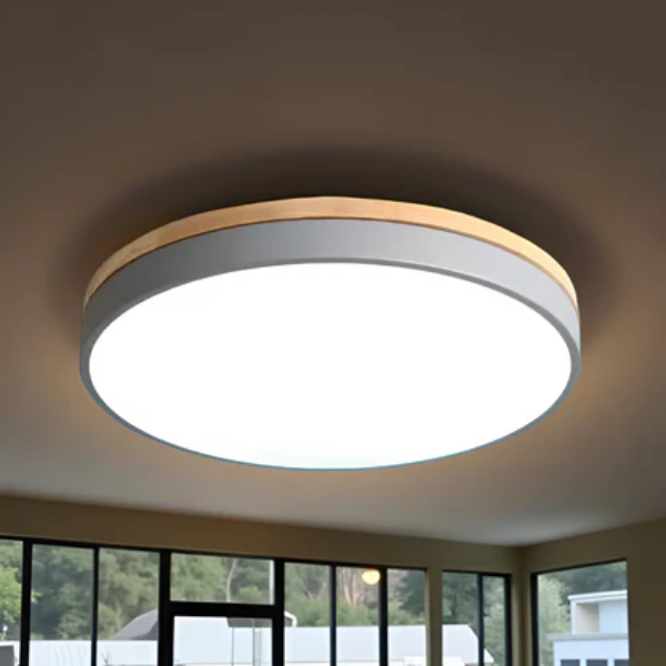 Moderne dimbare LED plafondlamp met afstandsbediening voor slaapkamer en woonkamer-Ceiling Lamp-DeWoonVallei-DeWoonVallei