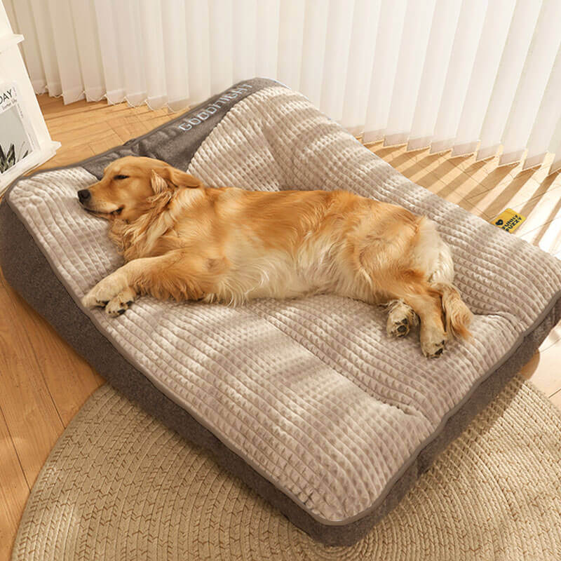Orthopedisch Hondenbed met Nekkussen – Luxe Comfort & Afneembare Wasbare Hoes-Pet beds-DeWoonVallei-DeWoonVallei