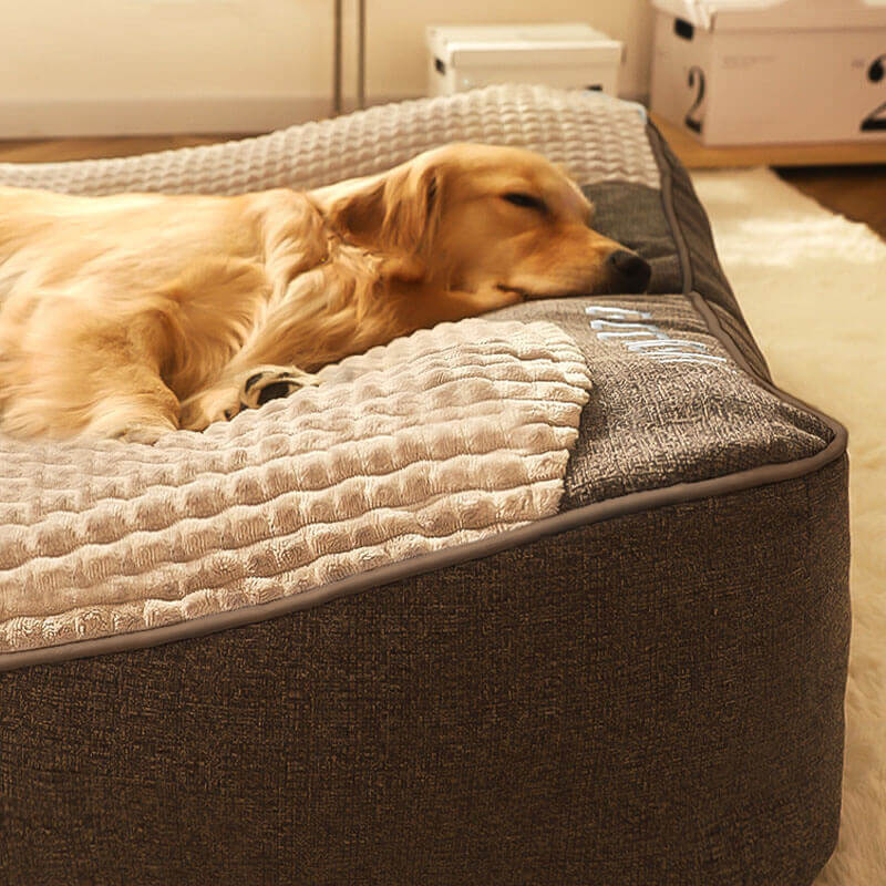 Orthopedisch Hondenbed met Nekkussen – Luxe Comfort & Afneembare Wasbare Hoes-Pet beds-DeWoonVallei-DeWoonVallei