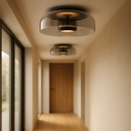 Plafondlamp met Getint Glas – Moderne Sfeerverlichting voor Hal en Gang-Ceiling Lamp-DeWoonVallei-DeWoonVallei