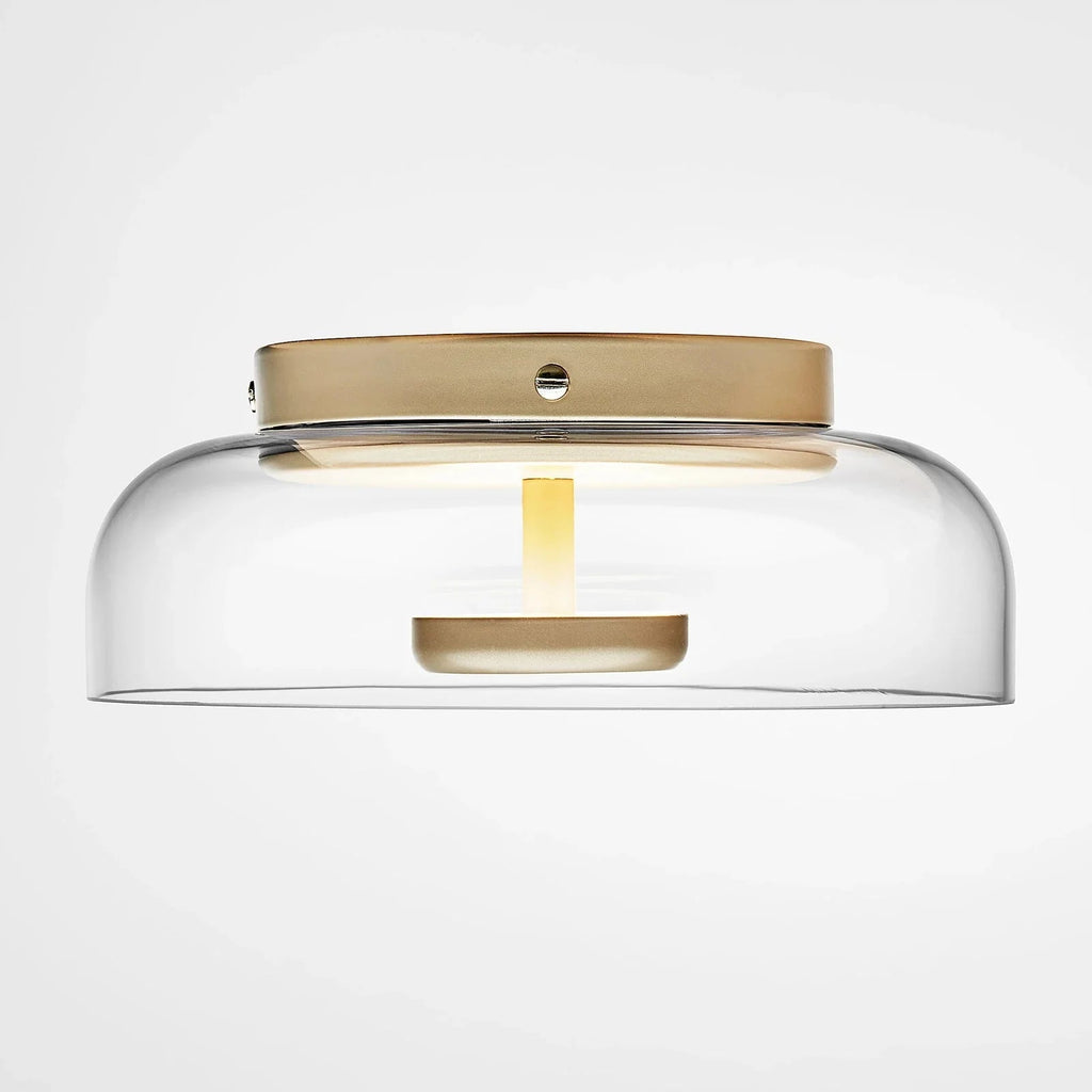 Plafondlamp met Getint Glas – Moderne Sfeerverlichting voor Hal en Gang-Ceiling Lamp-DeWoonVallei-DeWoonVallei