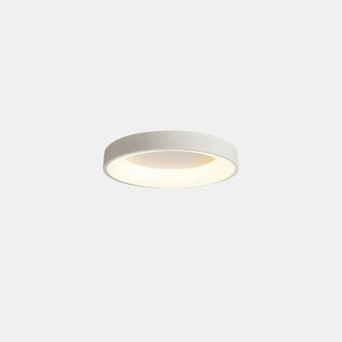 Ronde LED-Plafondlamp met Scandinavisch Design en Energiezuinige Verlichting-DeWoonVallei-Wit-Koud wit-30CM-DeWoonVallei