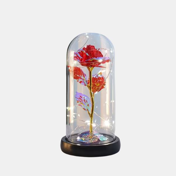 Roos LED Bloem Cadeau Glazen Koepel Romantische Licht Decoratie-Artificial plant-DeWoonVallei-Rood-DeWoonVallei