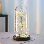 Roos LED Bloem Cadeau Glazen Koepel Romantische Licht Decoratie-Artificial plant-DeWoonVallei-Wit-DeWoonVallei