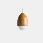 Scandinavische Houten Ronde Hanglamp Plafondlamp Modern Warme Sfeer-Hanging Lamp-DeWoonVallei-DeWoonVallei