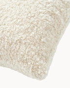 Teddy Kussenhoes 45x45 cm – Zacht en Pluizig – Beige, Taupe, Bordeaux-Cushion Cover-DeWoonVallei