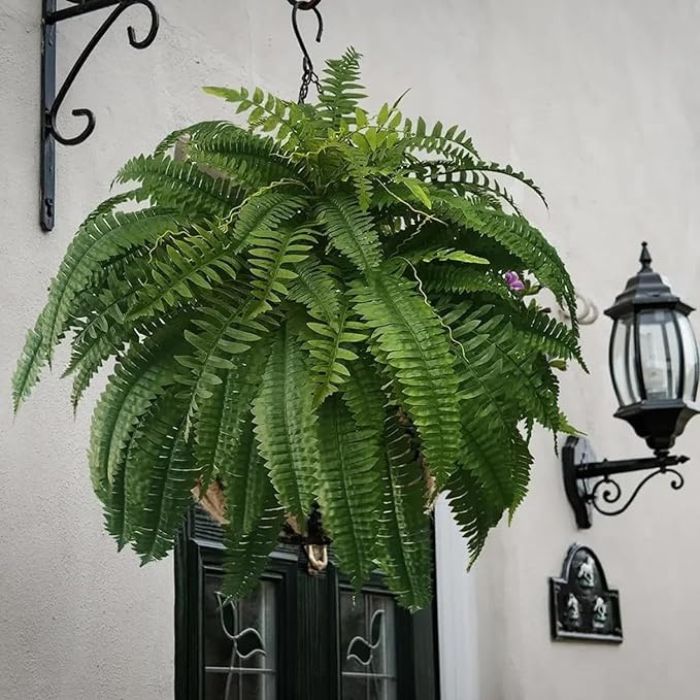 UV-Bestendige Levensechte Kunstvaren – Boston Fern voor Buiten & Binnen Decoratie-Decoration-DeWoonVallei-DeWoonVallei