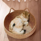 Ultra Zacht Donut Kattenbed voor Gezellig Comfort-Pet Bed-DeWoonVallei-DeWoonVallei