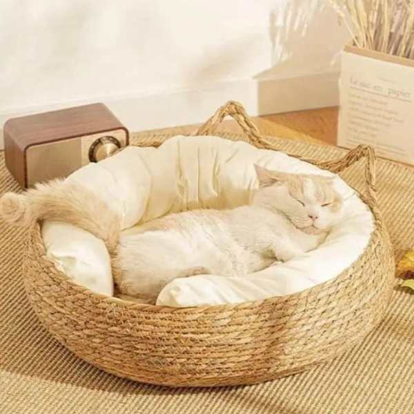 Ultra Zacht Donut Kattenbed voor Gezellig Comfort-Pet Bed-DeWoonVallei-DeWoonVallei