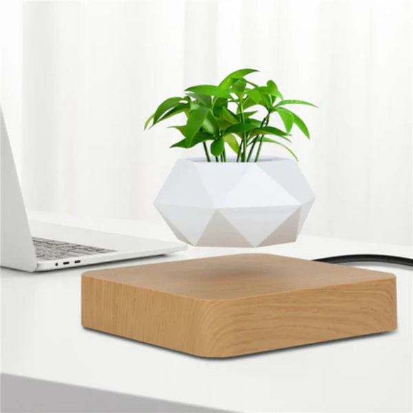 Zwevende Geometrische Plantenpot Levitatie Plantenhouder voor Gezondere Planten-Pots & Planters-DeWoonVallei-DeWoonVallei