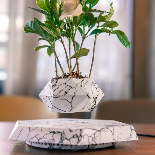 Zwevende Geometrische Plantenpot Levitatie Plantenhouder voor Gezondere Planten-Pots & Planters-DeWoonVallei-DeWoonVallei