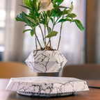 Zwevende Geometrische Plantenpot Levitatie Plantenhouder voor Gezondere Planten-Pots & Planters-DeWoonVallei-DeWoonVallei
