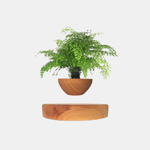 Zwevende Geometrische Plantenpot Levitatie Plantenhouder voor Gezondere Planten-Pots & Planters-DeWoonVallei-DeWoonVallei