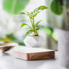 Zwevende Geometrische Plantenpot Levitatie Plantenhouder voor Gezondere Planten-Pots & Planters-DeWoonVallei-DeWoonVallei