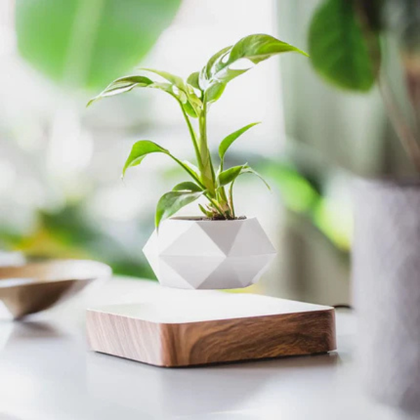 Zwevende Geometrische Plantenpot Levitatie Plantenhouder voor Gezondere Planten-Pots & Planters-DeWoonVallei-DeWoonVallei
