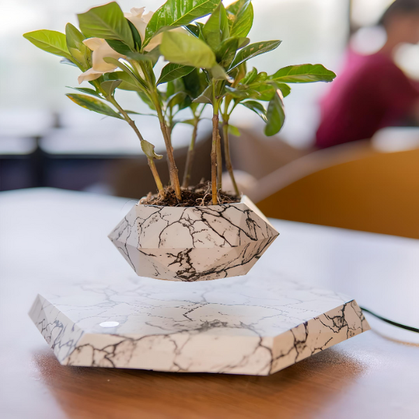 Zwevende Geometrische Plantenpot Levitatie Plantenhouder voor Gezondere Planten-Pots & Planters-DeWoonVallei-DeWoonVallei