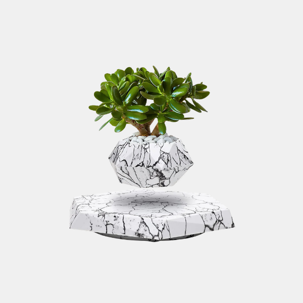 Zwevende Geometrische Plantenpot Levitatie Plantenhouder voor Gezondere Planten-Pots & Planters-DeWoonVallei-DeWoonVallei